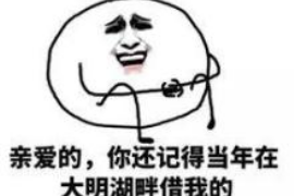 江宁江宁的要账公司在催收过程中的策略和技巧有哪些？